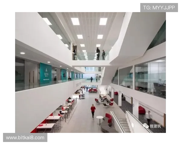 凯发娱乐体育：打造专业化体育娱乐体验的创新服务方案