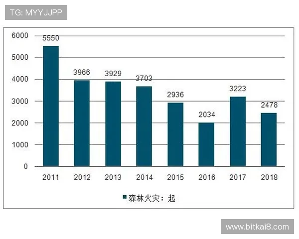 vsport体育在运动行业中的地位与未来发展趋势分析