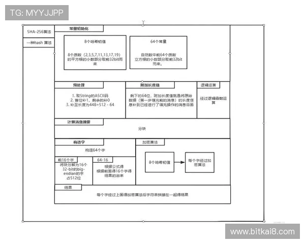凯发娱乐官网app如何快速注册账号并保障个人信息安全的详细流程